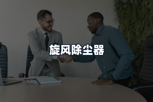 旋风除尘器