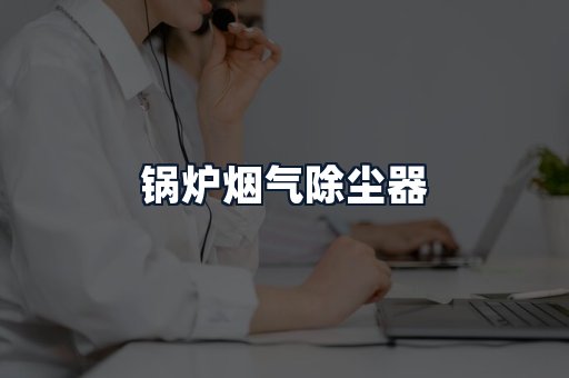 锅炉烟气除尘器